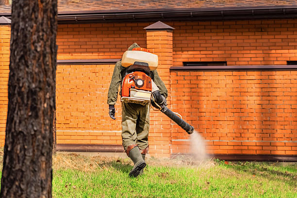 Top rated local Fumigation Services specialists in Eagar, AZ